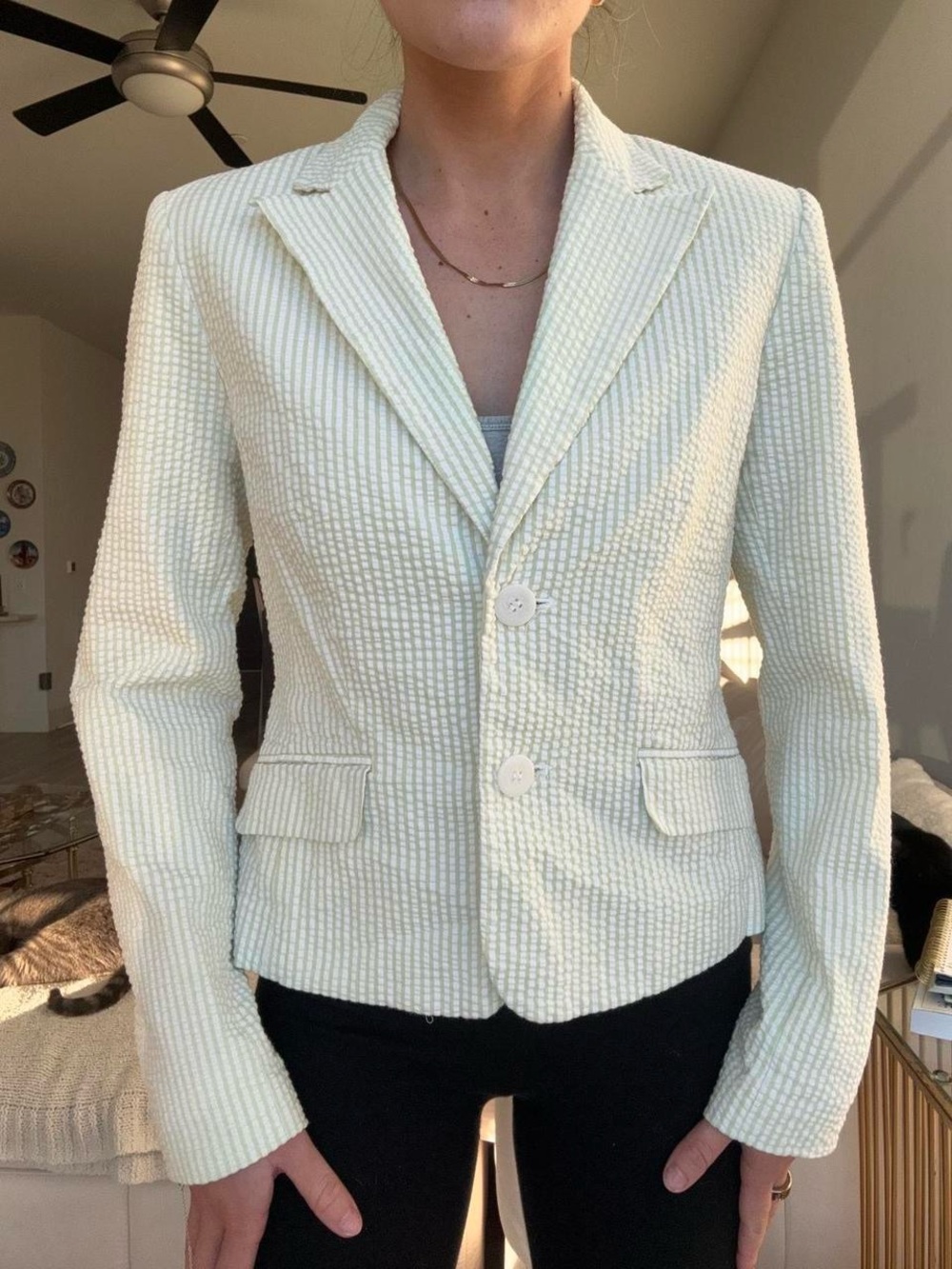Vintage Grace Dane Lewis white and light green stripes blazer top